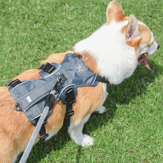 Reflective Nylon Pet Harness & Leash Set