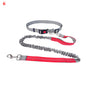 Elastic Rope for Pet Lovers