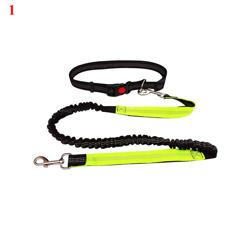 Elastic Rope for Pet Lovers