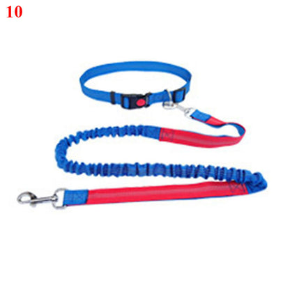 Elastic Rope for Pet Lovers