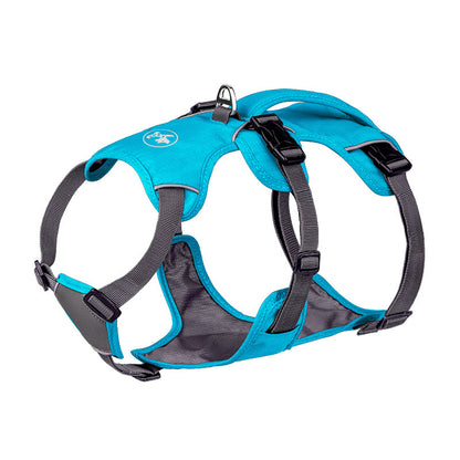 Reflective Nylon Pet Harness & Leash Set