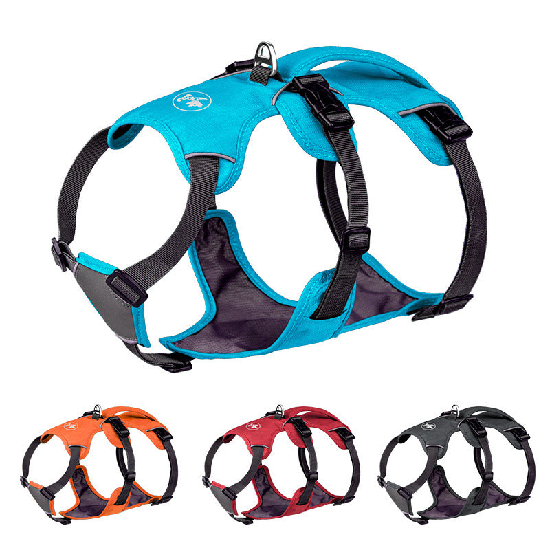 Reflective Nylon Pet Harness & Leash Set