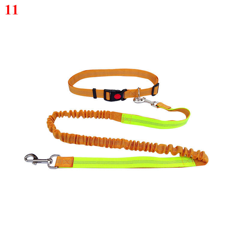 Elastic Rope for Pet Lovers