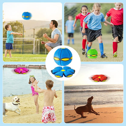 Dog Disc Ball - The Perfect Playtime Companion for Your Pet!