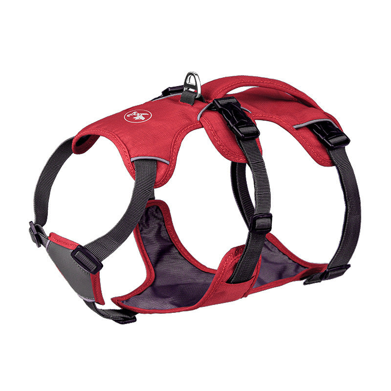 Reflective Nylon Pet Harness & Leash Set