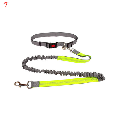 Elastic Rope for Pet Lovers