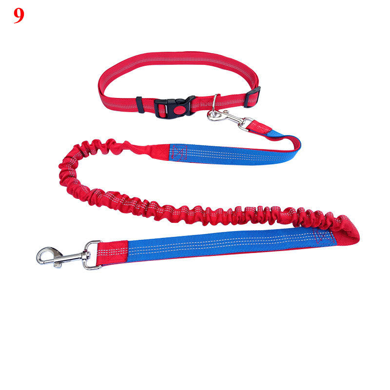 Elastic Rope for Pet Lovers