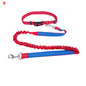 Elastic Rope for Pet Lovers