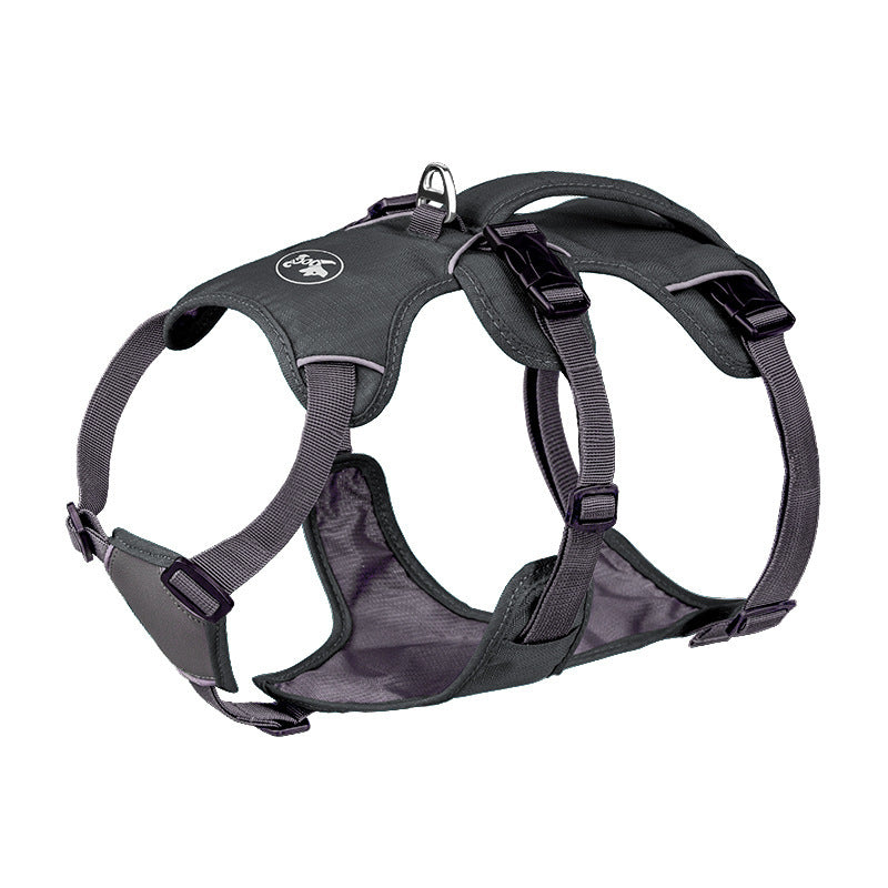 Reflective Nylon Pet Harness & Leash Set