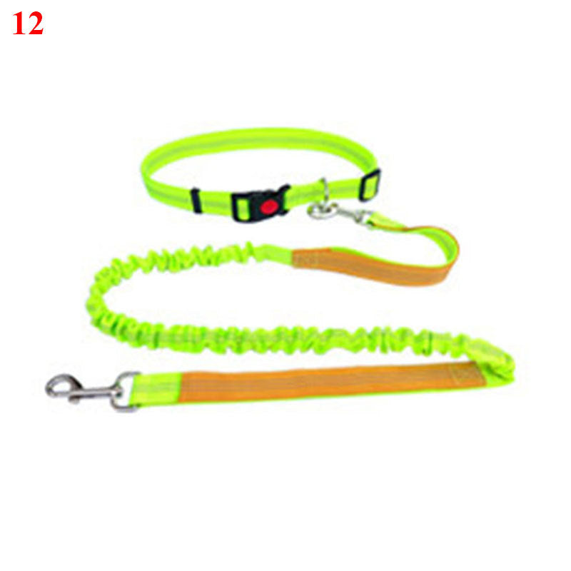 Elastic Rope for Pet Lovers